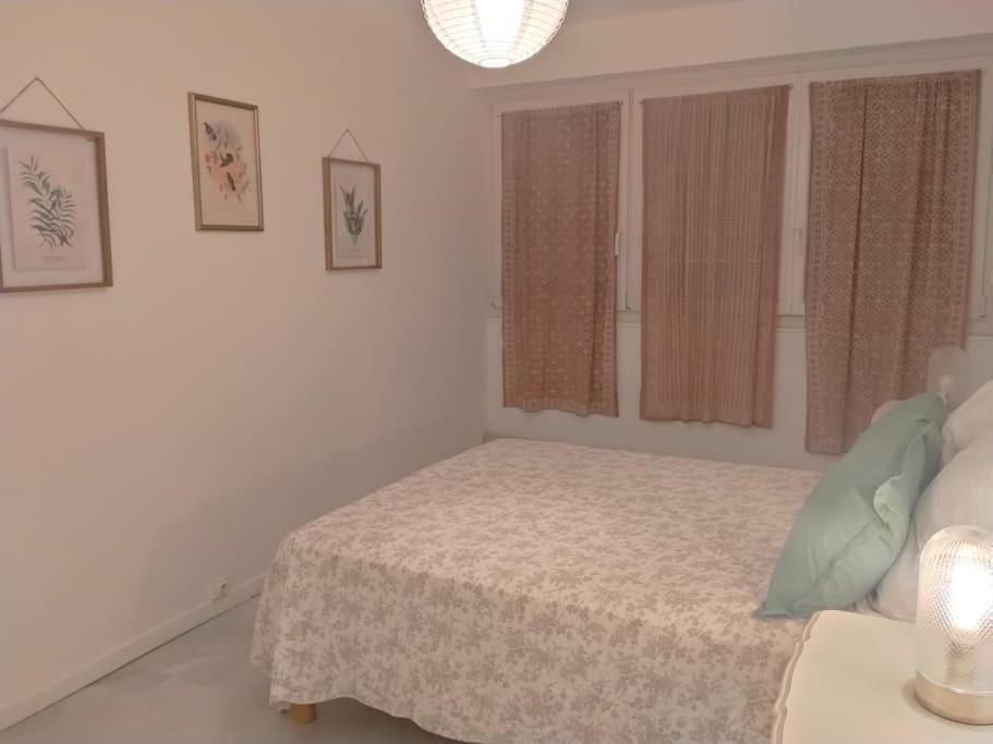 Appartement T3 Plein Centre Saint-Raphaël Dış mekan fotoğraf