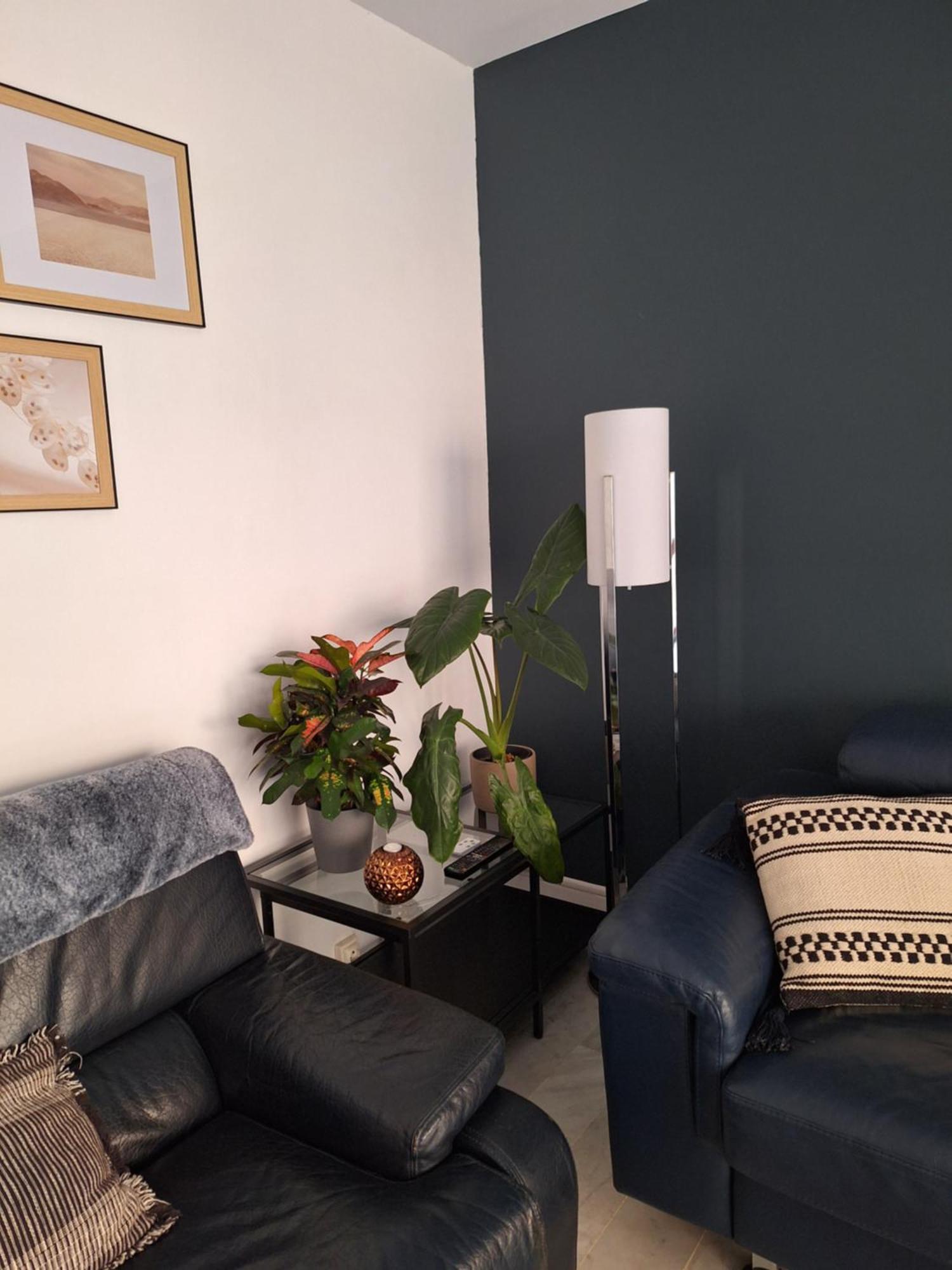 Appartement T3 Plein Centre Saint-Raphaël Dış mekan fotoğraf